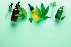 Où acheter des fleurs avec pourcentage CBD élevé
