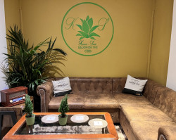 Boutique spécialisée en produits CBD forts